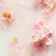 Rituals The Ritual of Sakura Floral Cherry Blossom & Rice Milk Shampoo...