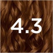 Garnier Nutrisse Permanent Hair Dye (forskellige nuancer) - 4.3 Dark G...