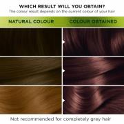 Garnier Nutrisse Permanent Hair Dye (forskellige nuancer) - 5.25 Ultra...