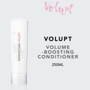 Sebastian Professional Volupt Conditioner 250ml