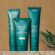 Aveda Botanical Repair Bundle