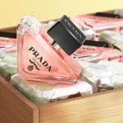 Prada Paradox Eau De Parfum 50ml Gift Set