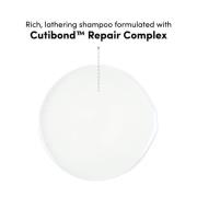 Coco & Eve Bond Therapy Shampoo & Mask Duo Bundle