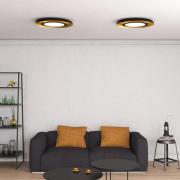 Shiitake LED-loftslampe, sort/guld