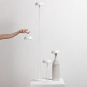 Axolight Float LED designergulvlampe, hvid