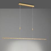Quitani LED-pendellampe Tolu, længde 179 cm, messing
