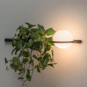Vibia Palma 3702 væglampe, planteskål, grafit