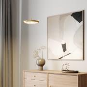 Quitani LED-pendellampe Gion, 1-lys, hvid/messing