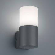 Hoosic udendørs væglampe, 1 lyskilde, antracit