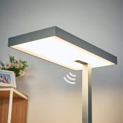 Kontor LED-gulvlampen Nora med bevægelsessensor