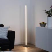LED-gulvlampe Bella, lige, firkantet base, stål