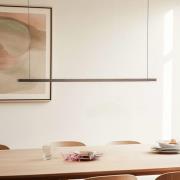 Quitani Talon LED-pendellampe bronzeanodiseret 24W