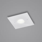 Helestra Nomi LED-loftlampe 23x23cm dim hvid