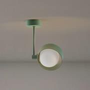 Loftlampe Mado, 1 lyskilde, grøn