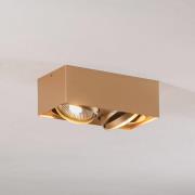 Loftspot Riesta, guld, 2 lyskilder