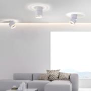 PURE Nola LED-loftlampe, 1 lyskilde, hvid