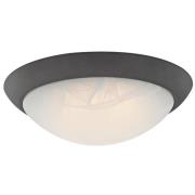 Westinghouse 6308940 LED-loftlampe, bronze