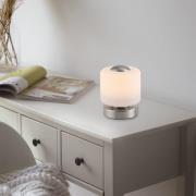 Paul Neuhaus LED-bordlampe Bota, stålfarvet, glas, dæmpbar