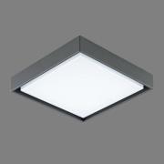 EVN LED udendørs loftlampe Tectum, 24x24 cm, antracit, 110°