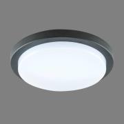 EVN Tectum LED udendørs loftlampe, rund, Ø 24,6 cm
