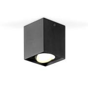 EVN Kardanus LED-loftlampe, 9x9cm, sort