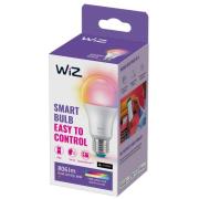 WiZ A60 LED-lampe mat WiFi E27 8,5W RGBW