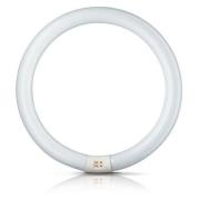 G10q 40W 830 ring-lysstofrør Master Circular TL-E