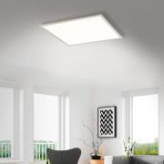 LED-panel Simple, hvid, ultraflad, 59,5 x 59,5 cm