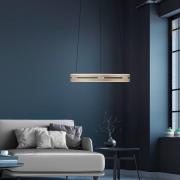 LED-hængelampe PURE E-Loop, elfenbensfarvet guld, Ø 50 cm, aluminium, ...