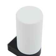 Lucande Basolo væglampe til badeværelset, sort, højde 17,2 cm, glas