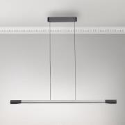 Paul Neuhaus LED-hængelampe Hoop, aluminiumsfarvet, 128 cm, dæmpbar