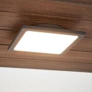 Lucande LED udendørs loftlampe Mabella, 23 cm, sensor, IP65