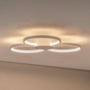 Bega loftlampe 51299.1, fløjlshvid, metal, DALI