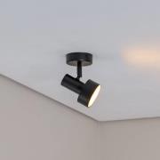 Loftspot Mona, 1 lyskilde, sort, bevægelig, stål