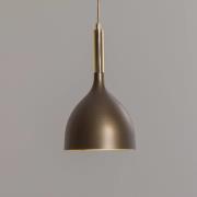Noak hængelampe, 1 lyskilde, titanium-guld/guld, stål