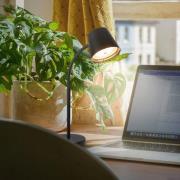 Biwo LED-bordlampe, sort, berøringsdæmper, metal