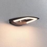 Paulmann udendørs LED-væglampe Akena, 3.000 K, antracit