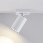 CAN TILT loftspot, hvid, 11 x 9 cm, 9 lyskilder, metal GU10