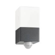 Linus udendørs væglampe, grafit, sensor, rustfrit stål, glas, E27