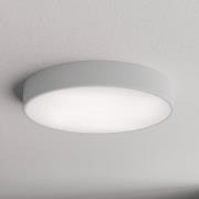 Loftlampe Cleo 500, grå, sensor, IP54, Ø 50 cm, metal