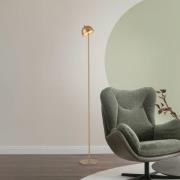 Schöner Wohnen LED-akku-gulvlampe Bellies, guldfarvet, IP54