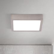 LED-loftlampe Disc nikkelfarvet satineret, længde 14 cm CCT