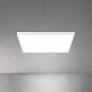 LED-loftlampe Disc, hvid, længde 60 cm, CCT, metal