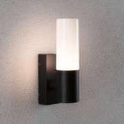 Paulmann udendørs væglampe Tralia, antracit, højde 25 cm IP44