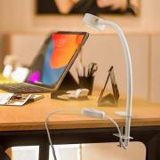 Lindby klemmelampe Jyla, hvid, 2.700 K, GX53