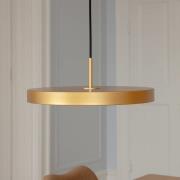 UMAGE LED-hængelampe Asteria Medium, messingfarvet Ø 43 cm
