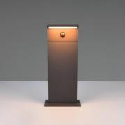 LED-sokkellampe Ravi, antracit, højde 50 cm, sensor, IP54