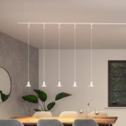 Paulmann URail hængelampe Runa, signalhvid, GU10