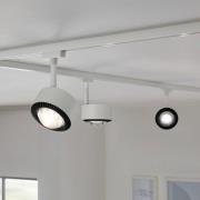 Paulman URail LED-spot Aldan, signalhvid, White Switch