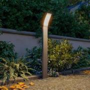 Philips LED-gadelampe Splay UE, 96 cm, antracit, IP44